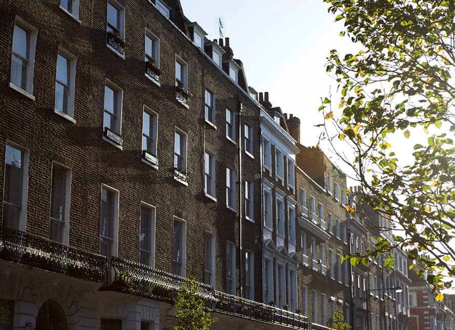 Banner Content Background